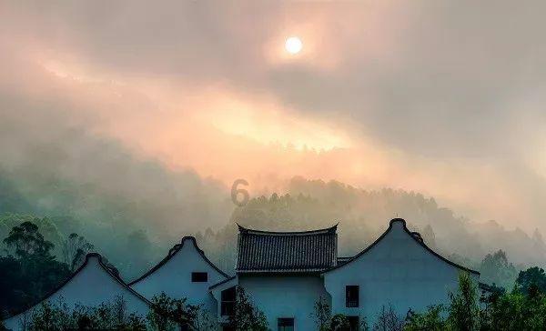 饿狮救援