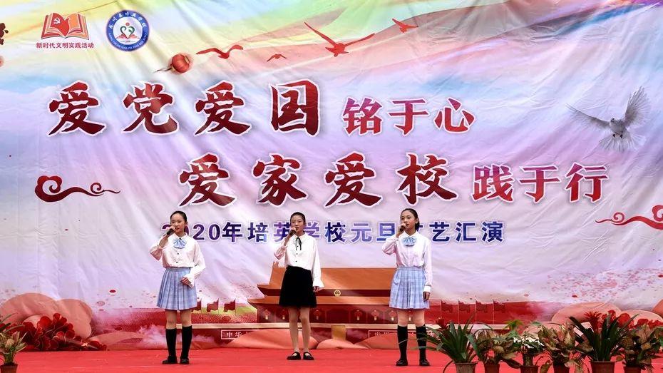 重生之玫瑰豪门